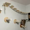 Драбина мотузкова для котів - Зображення 5