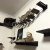 Настінні сходинки для котів. Набір 4 одиниці. - Зображення 6